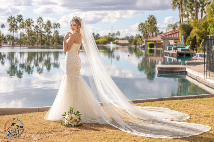 Ivory Dream