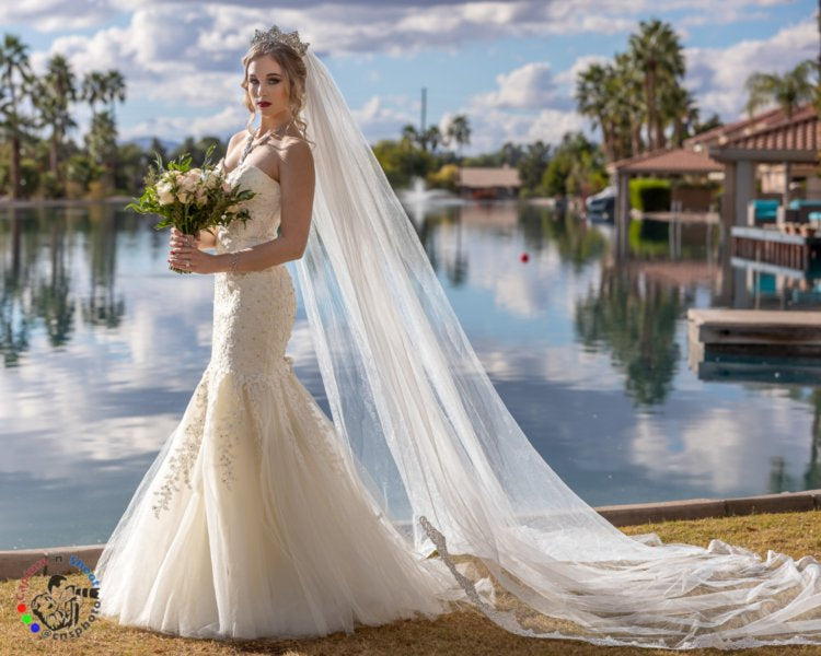 Ivory Dream