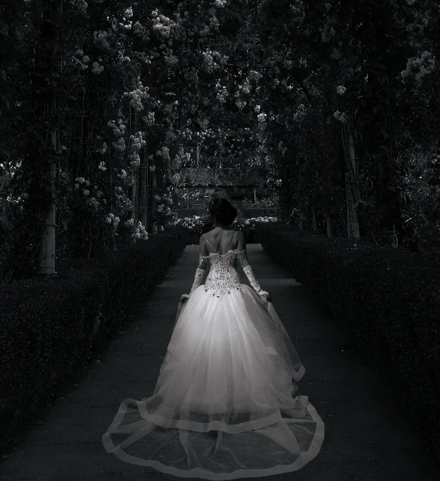 Swarovski Crystal Wedding Dress